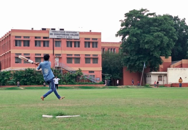 Sri Venkateswara College - Delhi - playground
