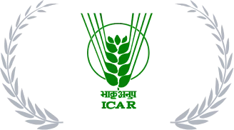 Accreditation 11